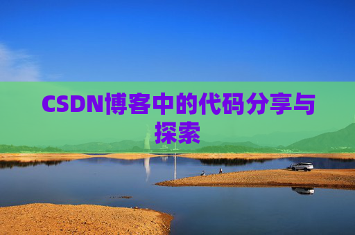 CSDN博客中的代码分享与探索